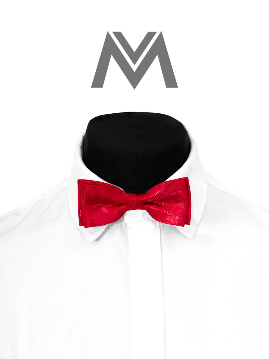 elegancka, męska, mucha, jasnoniebieska, prezent, praktyczna elegancka, męska, mucha, jasnoniebieska, prezent, praktyczna